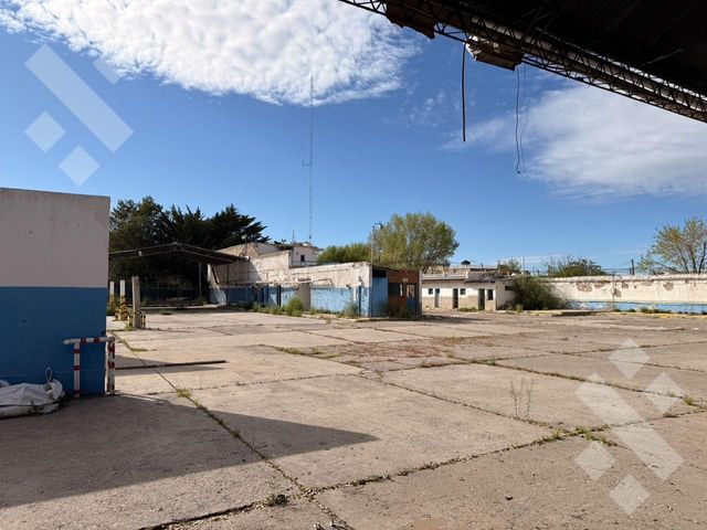place photo 12