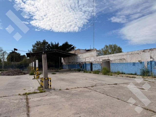 place photo 16