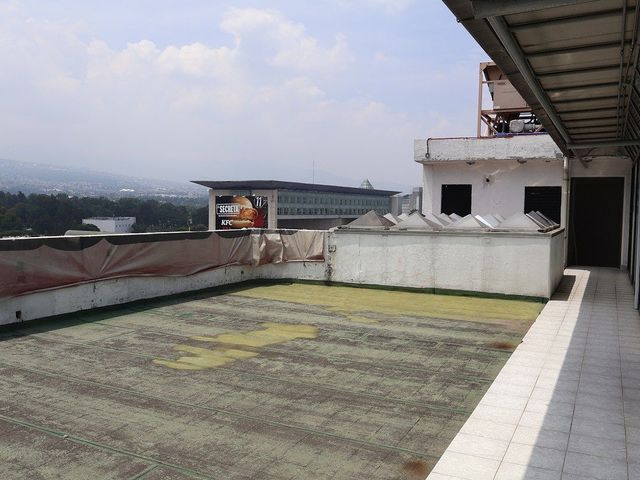 place photo 36