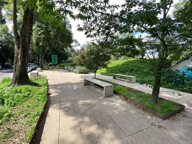 place photo 11