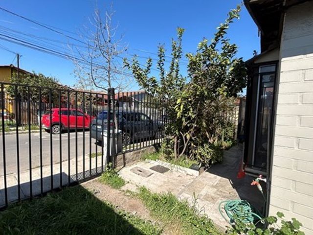 place photo 14