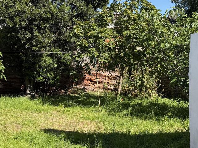 place photo 30
