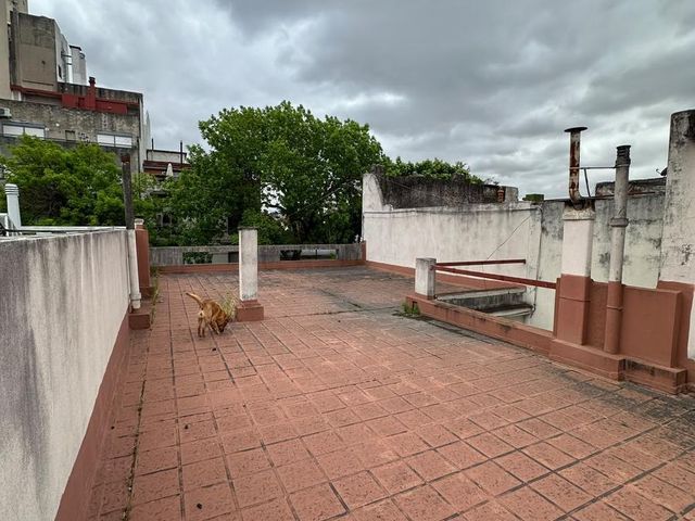 place photo 27