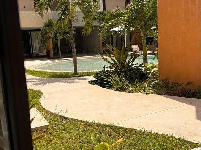 place photo 37