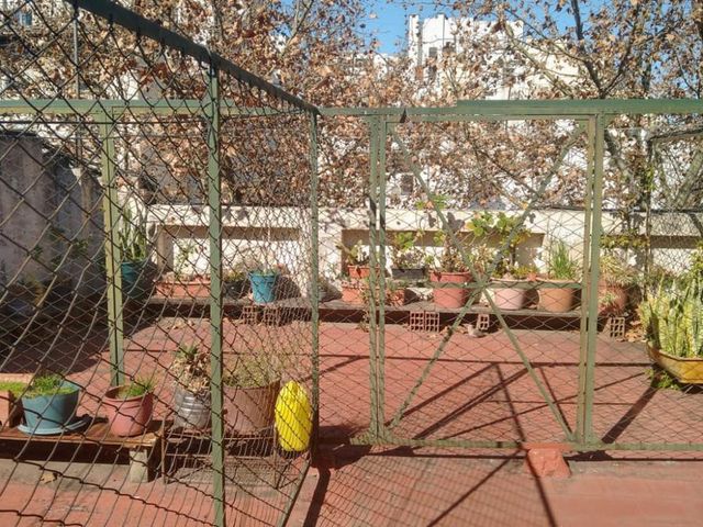 place photo 23