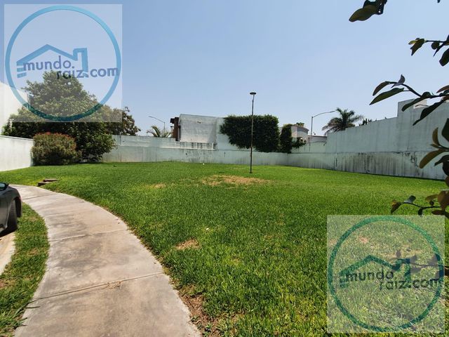 place photo 29