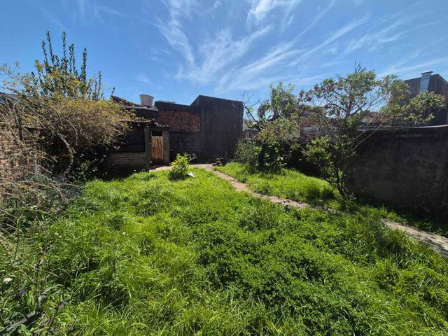 place photo 31