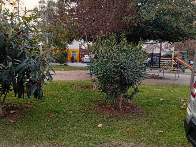 place photo 25
