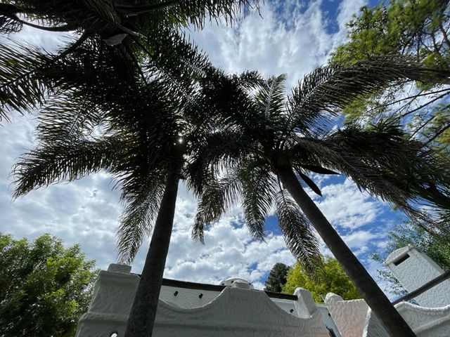 place photo 33