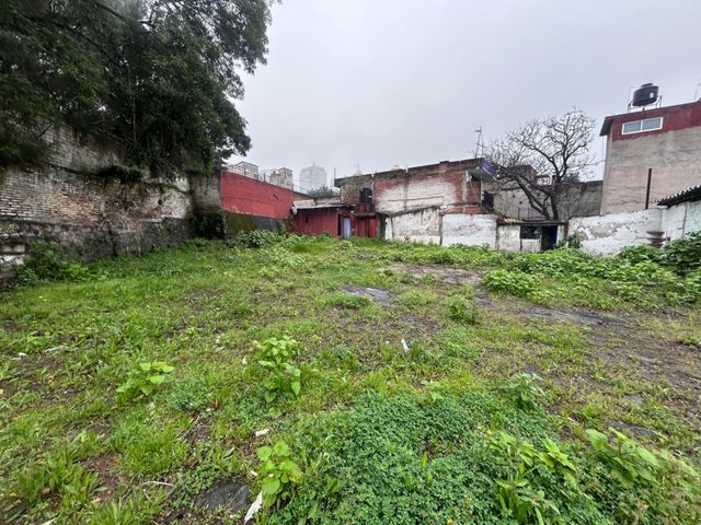 place photo 14