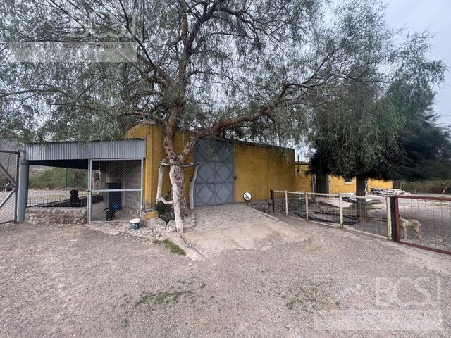 place photo 16