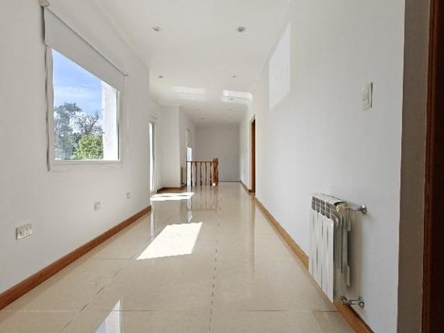 place photo 66