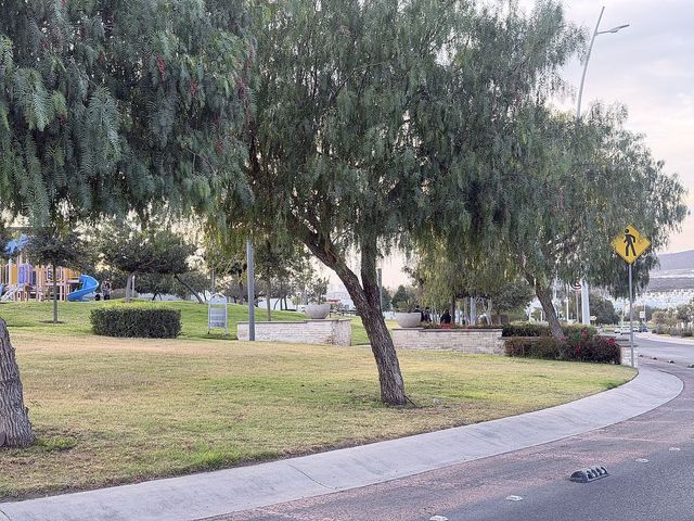 place photo 43