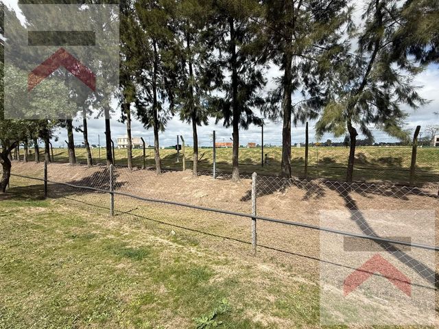 place photo 35