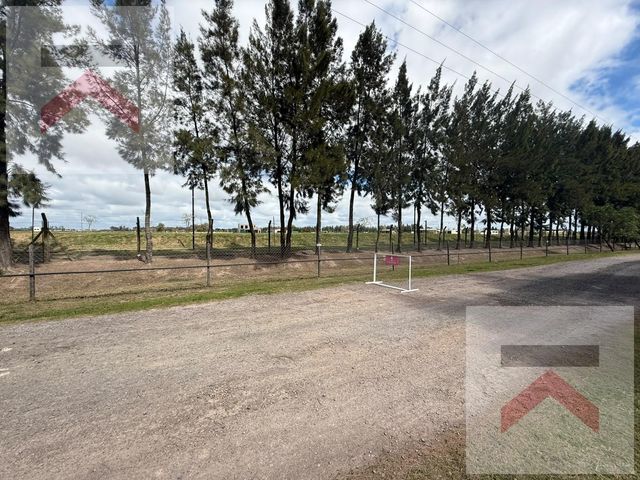 place photo 36