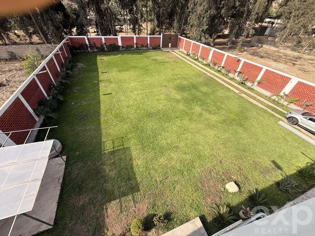 place photo 47
