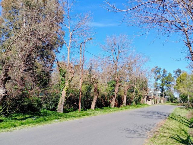 place photo 14