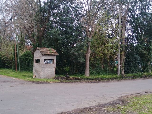 place photo 12