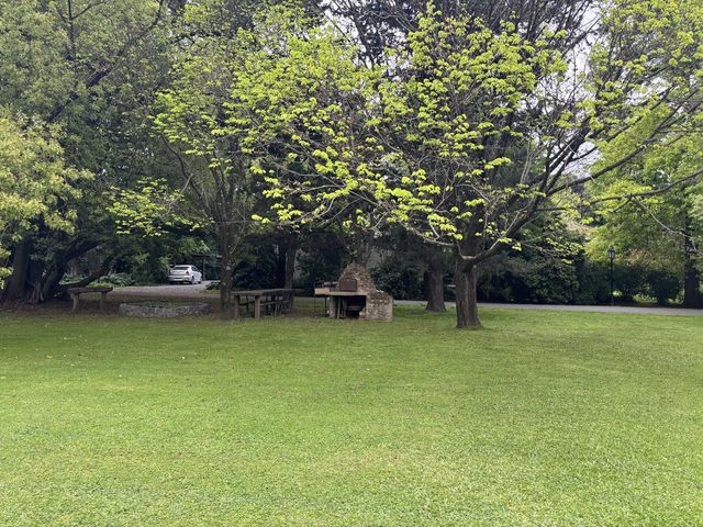 place photo 26