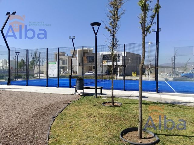 place photo 37