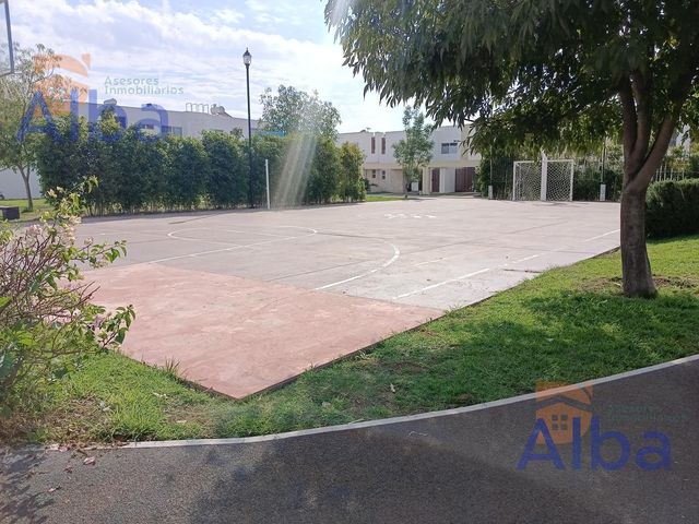 place photo 27