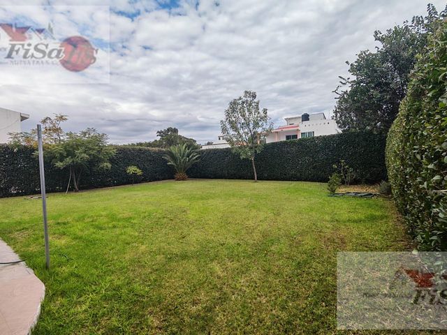 place photo 47