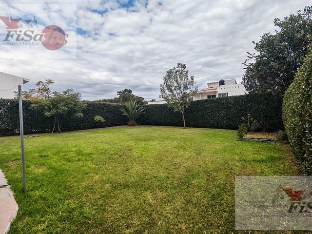 place photo 48