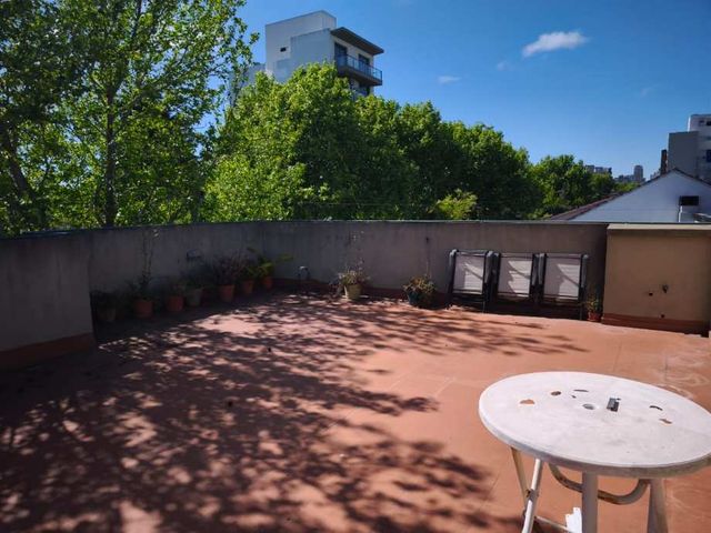 place photo 17
