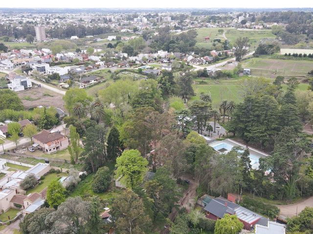 place photo 43
