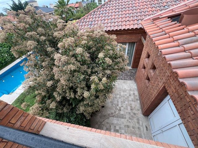 place photo 71