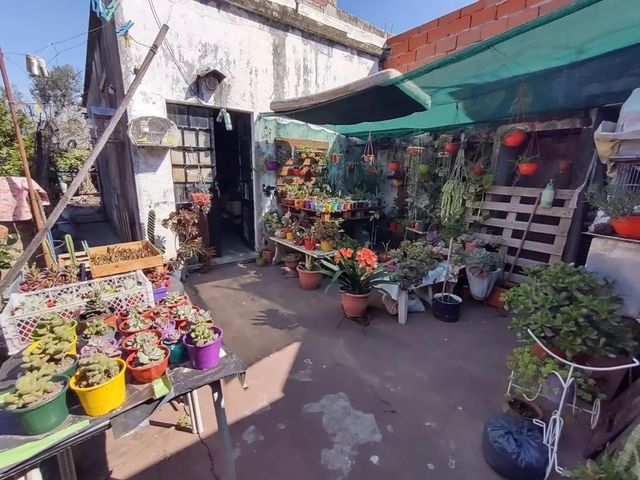 place photo 29