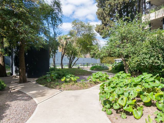 place photo 43