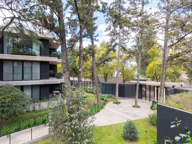 place photo 46