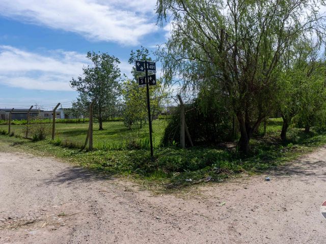place photo 39