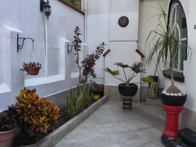 place photo 38