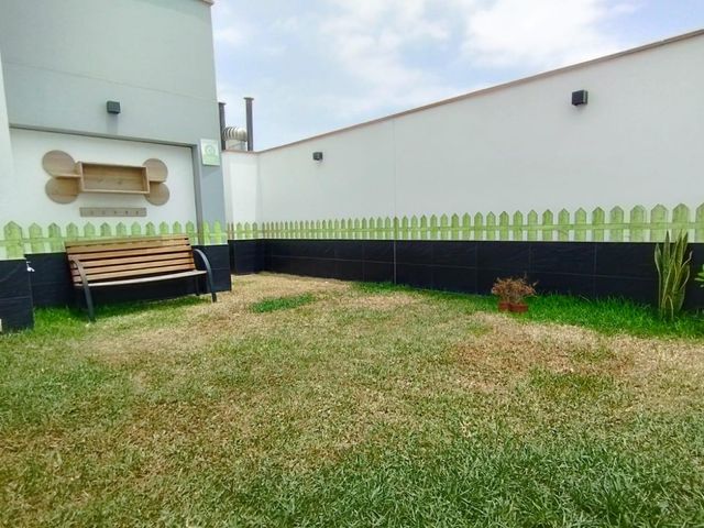 place photo 40