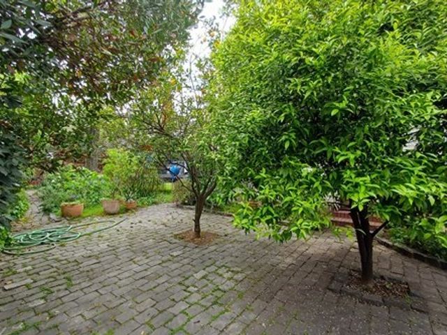 place photo 120