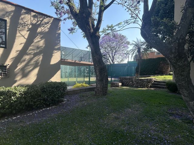 place photo 37
