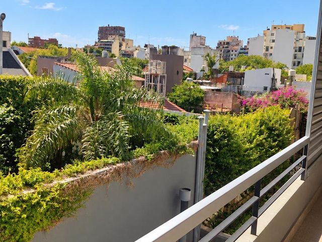 place photo 37
