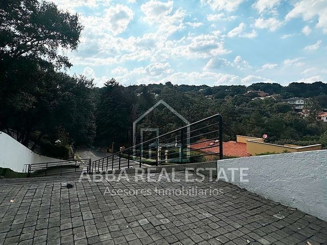place photo 28