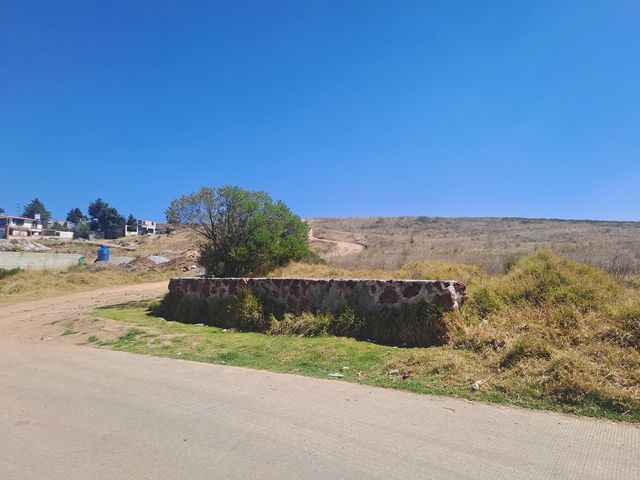 place photo 53