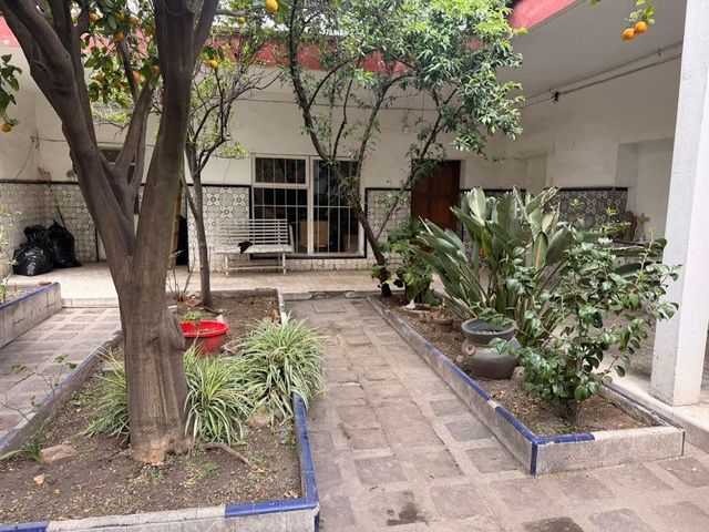 place photo 22