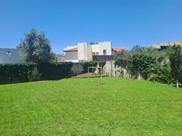 place photo 44