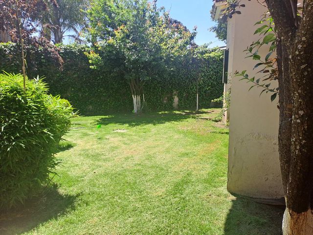 place photo 53