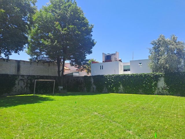 place photo 61