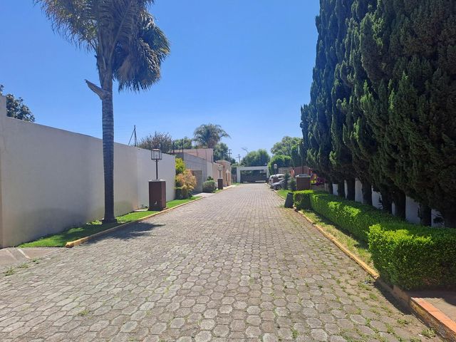 place photo 76