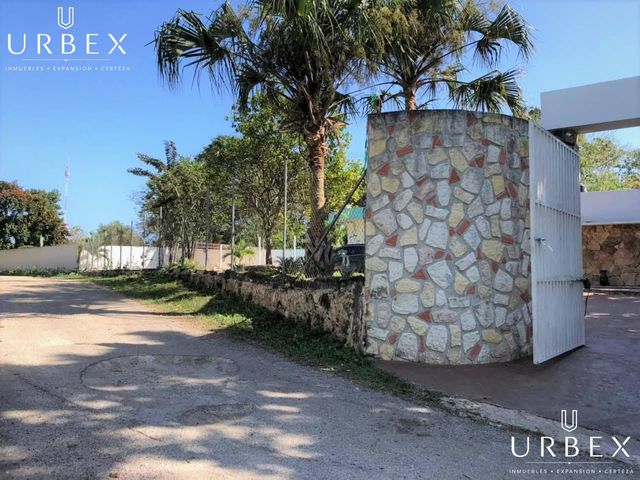 place photo 31
