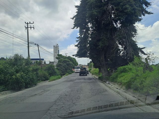 place photo 15