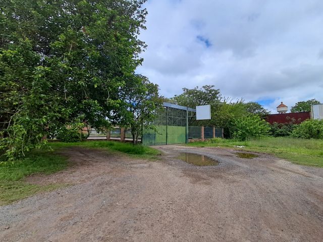 place photo 16