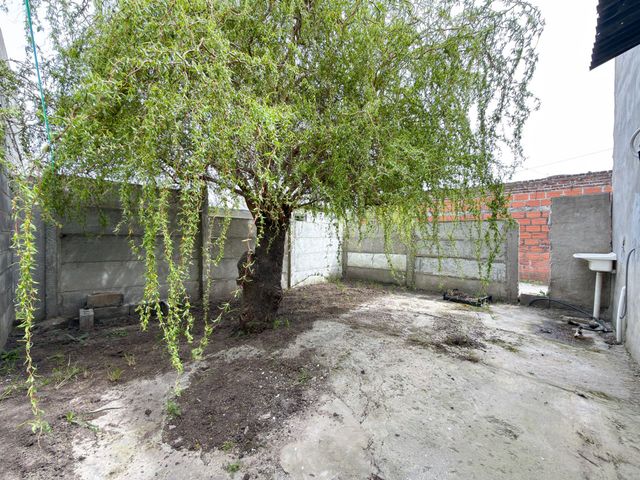 place photo 30